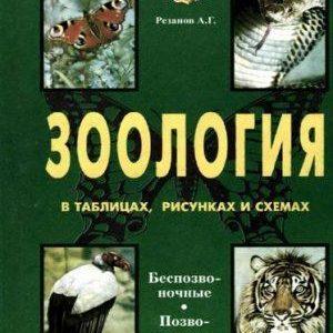 Зоология в таблицах, схемах и рисунках 7-8 классы Резанов читать скачать бесплатно